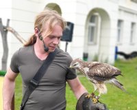 Wald Bussard mit dem Falkner Václav Šporer