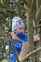 Annerl beim „Nestsuchen“, diesmal sogar am Baum. Bild: Richard Šulko